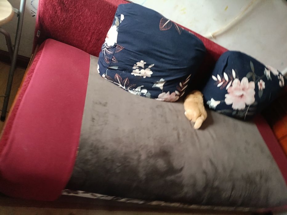 Диван кровать евро книжка