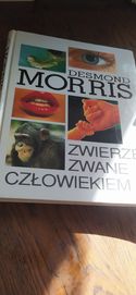 Zwierzę Zwane Człowiekiem Desmond Morris