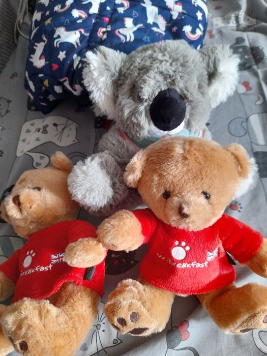 Игрушка мягкая  коала