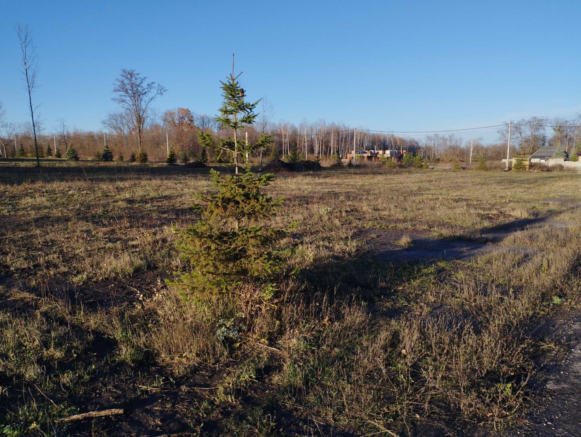 Участок под застройку в ближнем пригороде в с.Чайковка Малая Даниловка