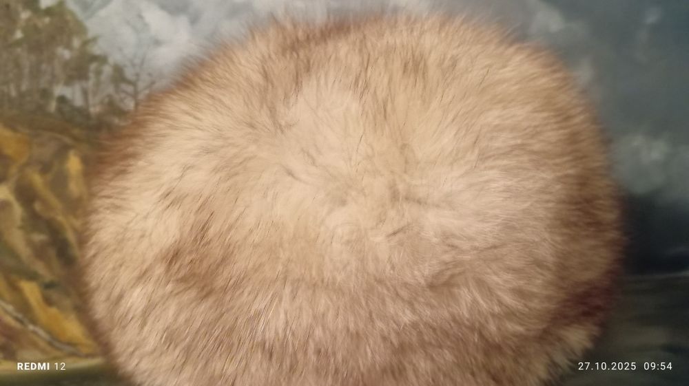 Zadbana jak nowa czapka z lisa srebrnego 56