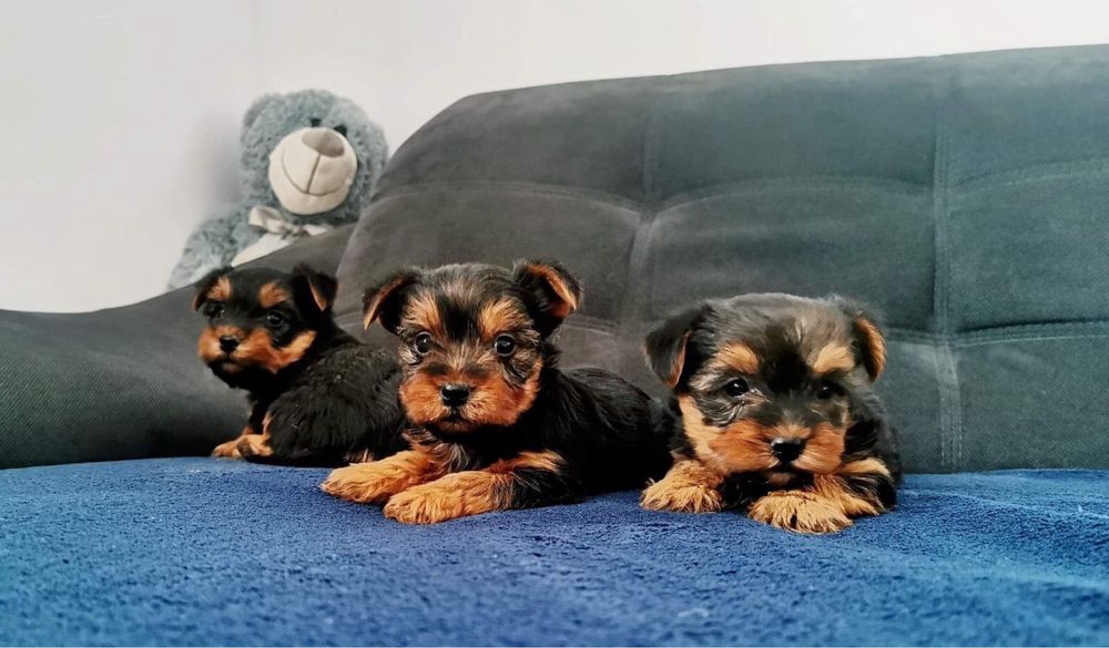 Позитивчики хлопчики та дівчатка