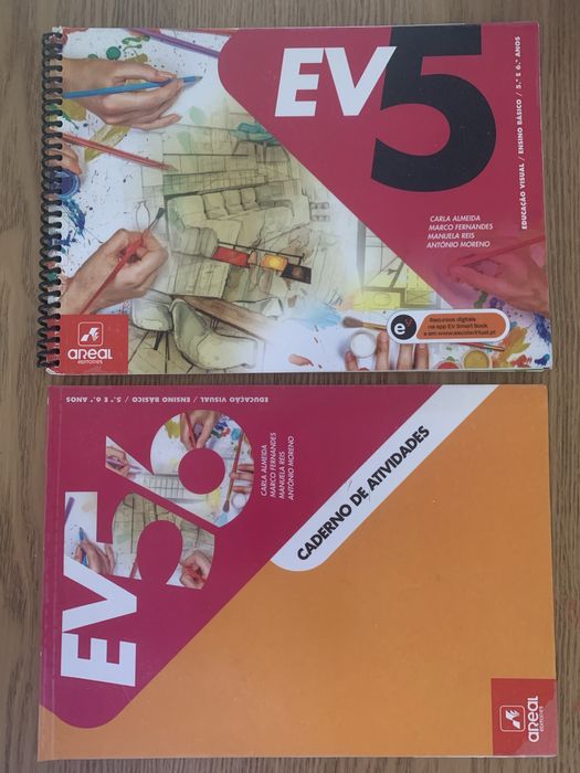 Manuais / livros - 6º ano