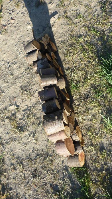 drzewo drewno owocowe do grilla grillowania wędzenia kociołka brykiet