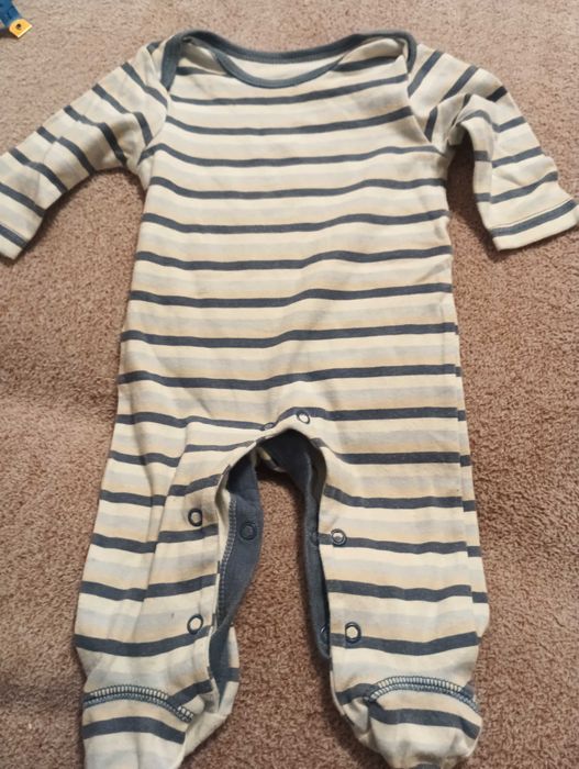 Śpiochy r. 62 w paski