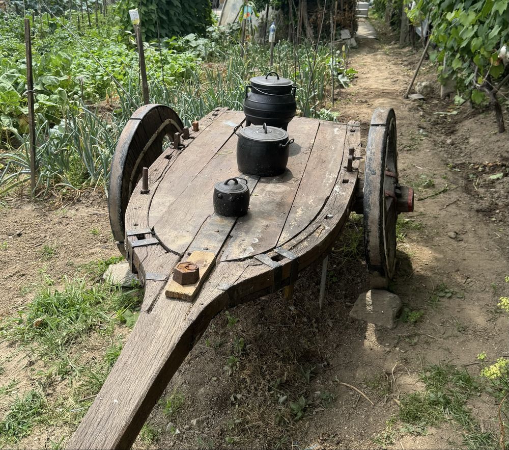 Carro de bois antigo