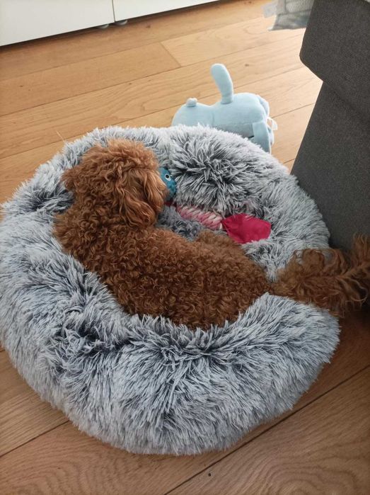 Legowisko Łóżko dla psa, kota miękkie szare