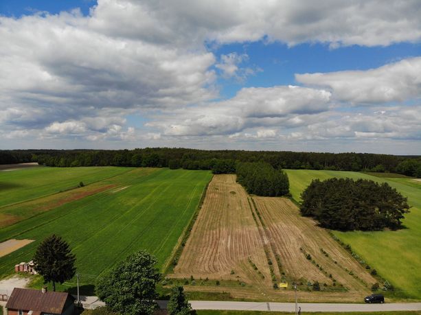 Zielone Gm. Rawa Mazowiecka, dwie działki budowlane, spokojna okolica