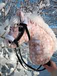 Hobby horse VEN TANIO