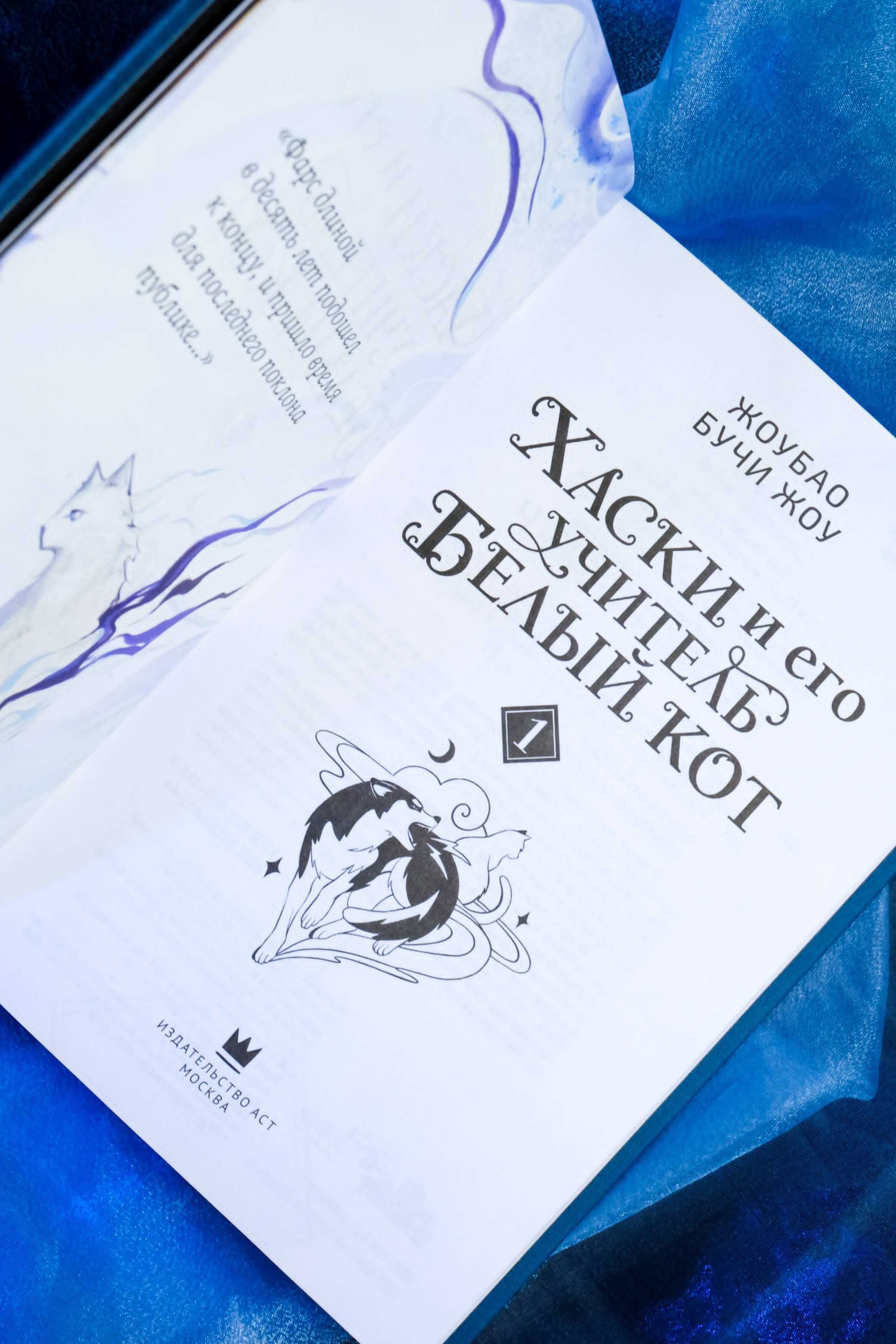 Хаски и его учитель Белый кот