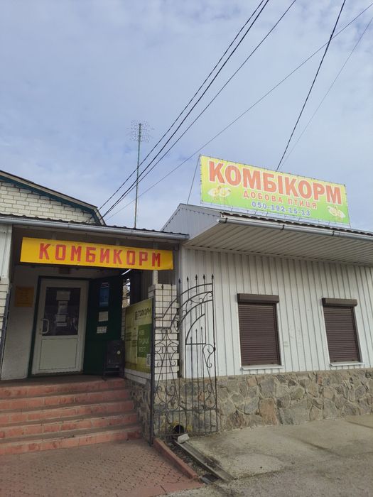 Добові курчата: бройлери, гусята, каченята, яєчні та м'ясояєчні породи