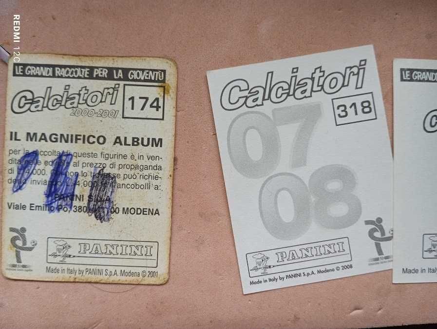 Fernando Couto Panini