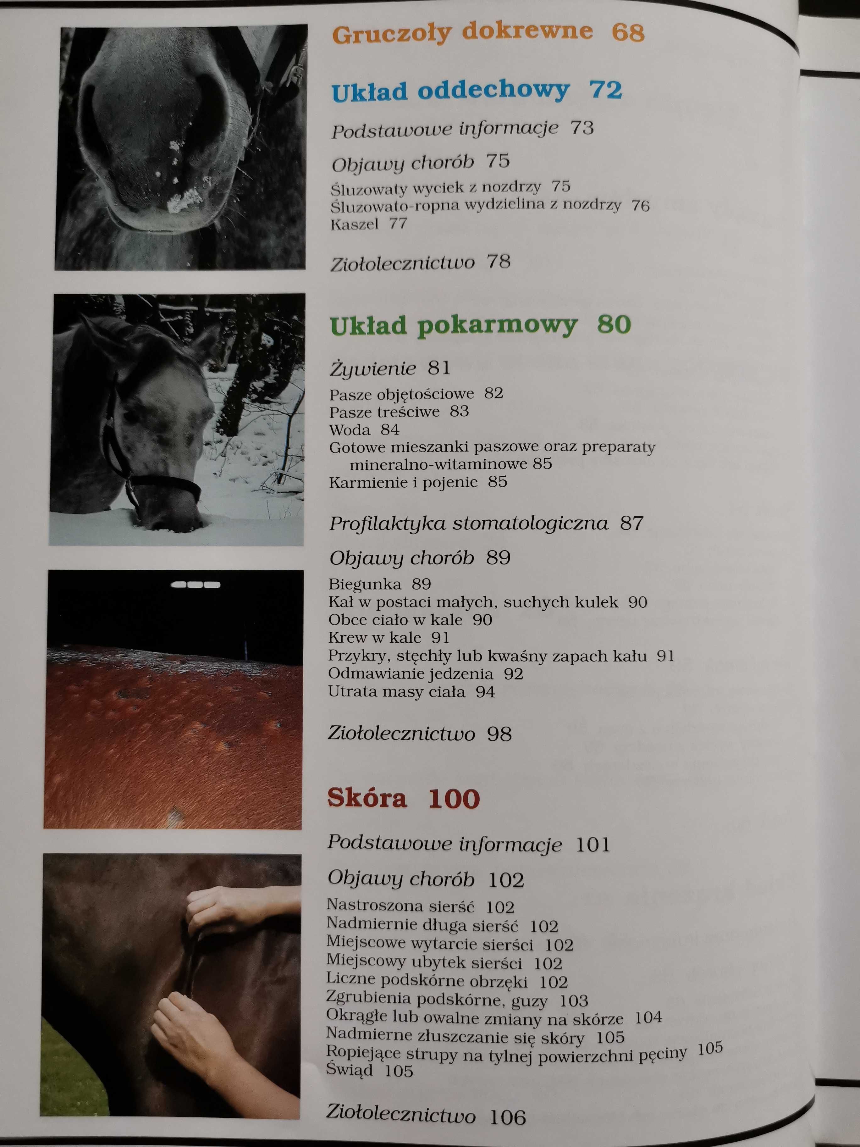 Koń zdrowy jak. Bożena Urbaniak-Czajka