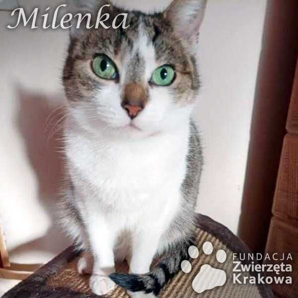 Zielonooka Milenka