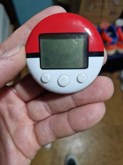 Pokewalker nds Pokemon