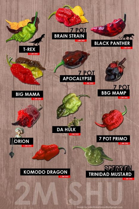 Семена острых перцев насіння гострого перцю Carolina 7Pot Aji Naga