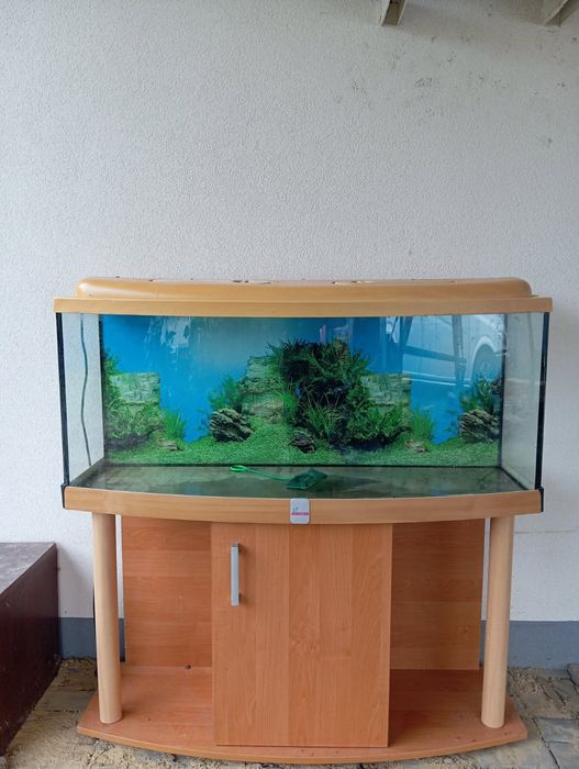 Akwarium z pokrywa 240l