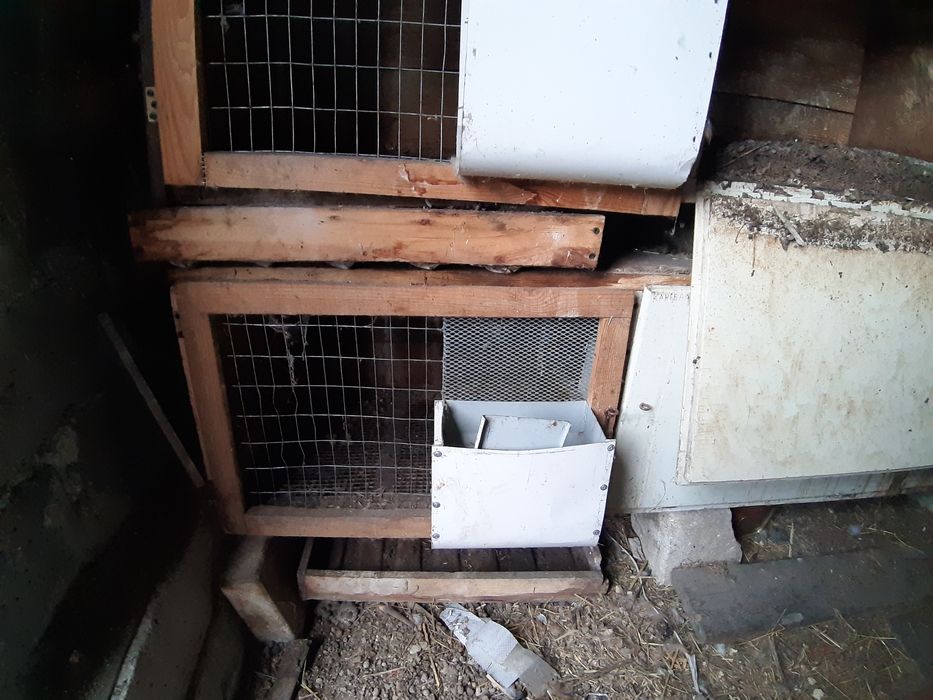 Клітки для кролів