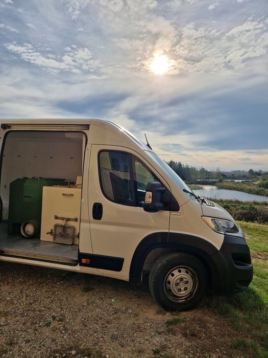 Kroczek Karp 2-3/kg  inne Amur Tołpyga  Jesiotr Węgorz Karaś pospolity