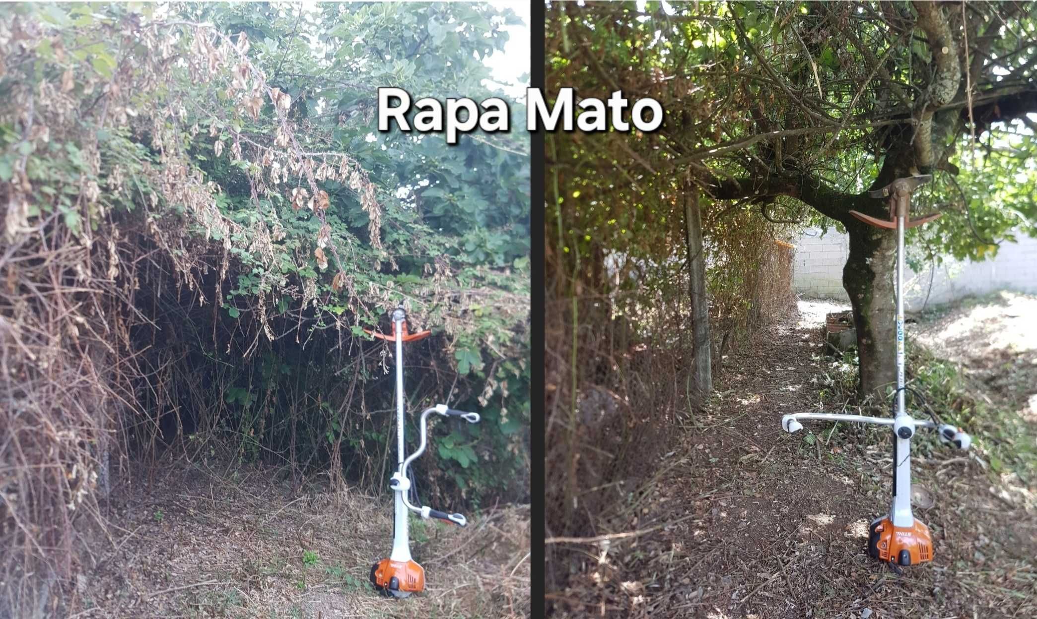 Limpamos terreno e matas à partir de 0,78€/m² - Coimbra e arredores