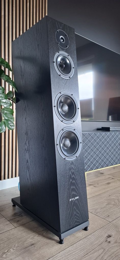 Pylon audio diamond 30 mk2 (zamiana)