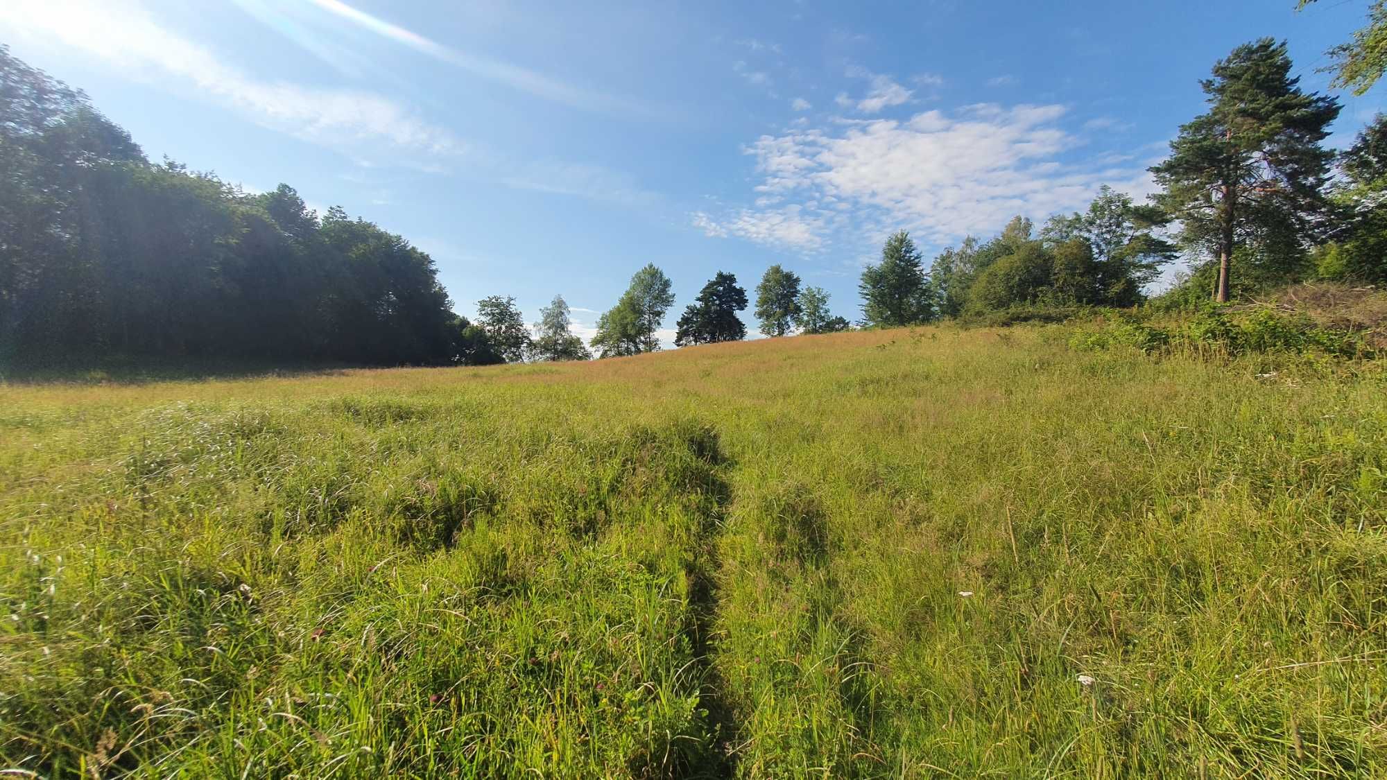 Działka Rolno Rekreacyjna BIESZCZADY okolice Ustrzyki Dolne 1 Hektar