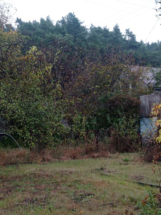 Дача на Ст. Подусовці під лісом. Ідеально для будівництва. 5 соток.