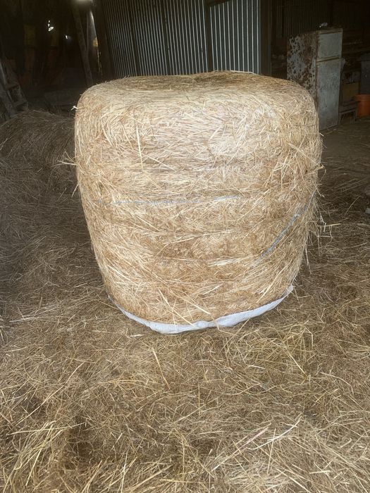 Fardos de feno-silagem