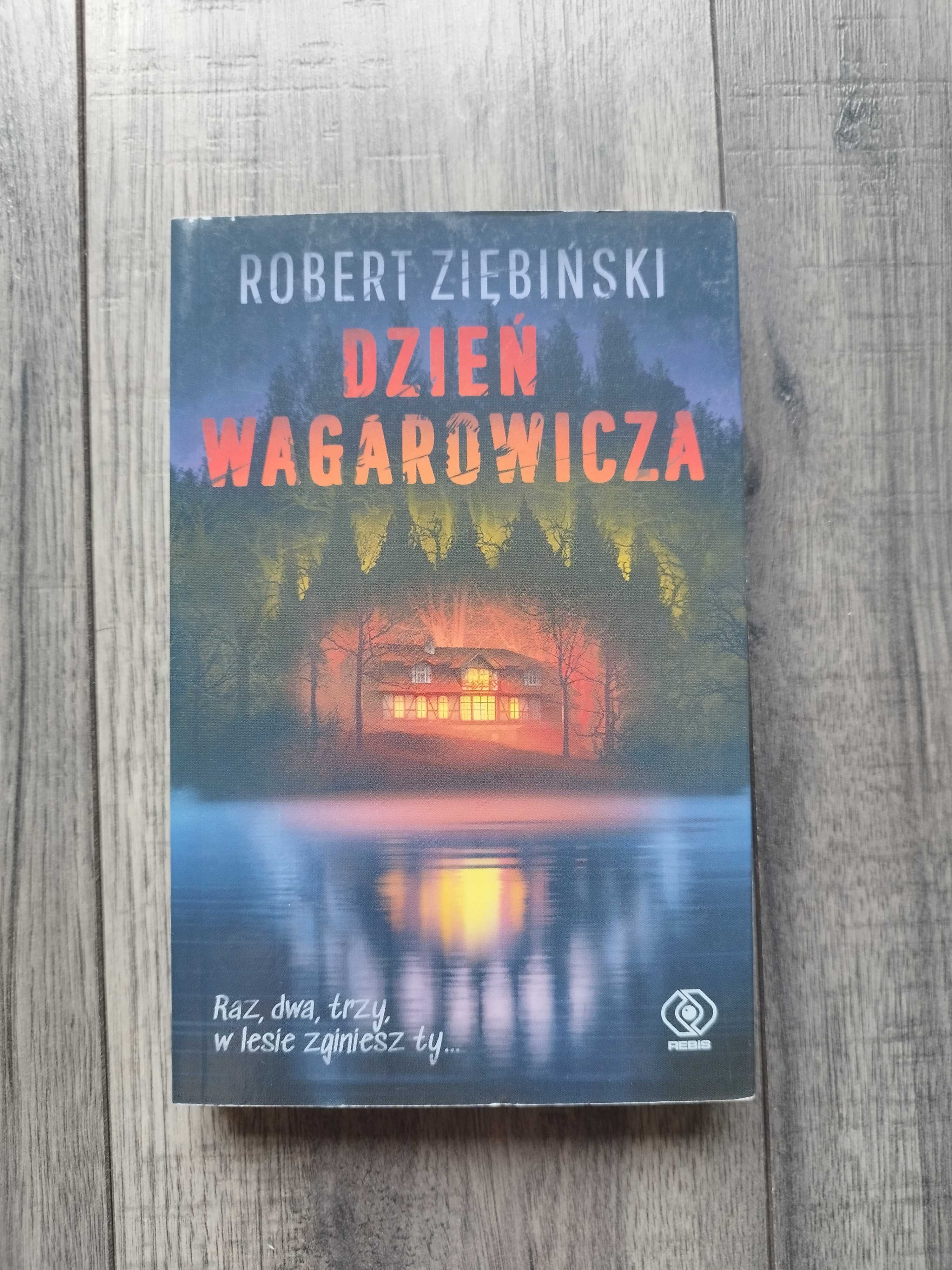 Dzień wagarowicza  - Robert Ziębiński