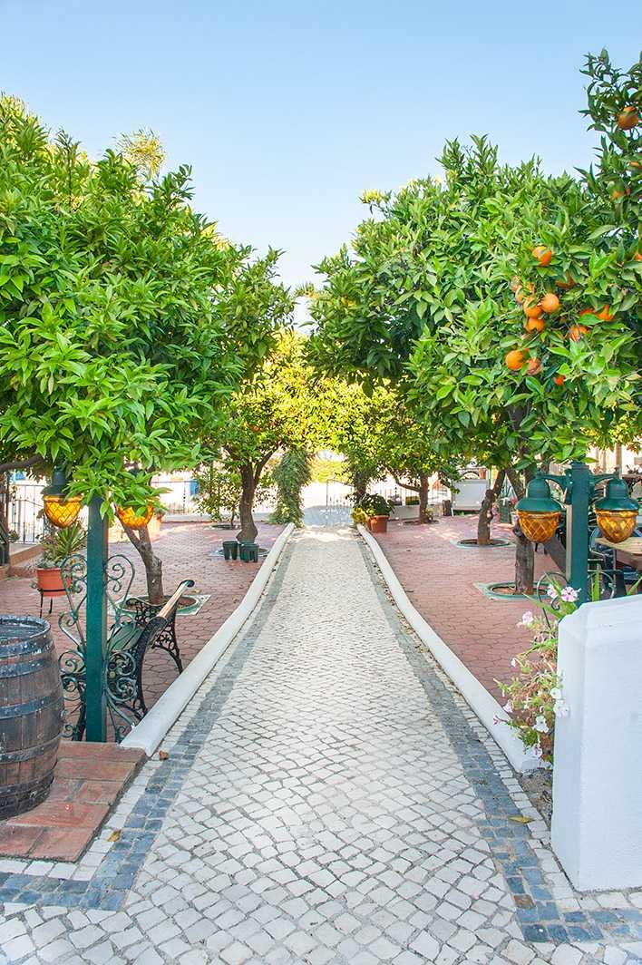 Casa com piscina a 10 min das melhores praias no Algarve