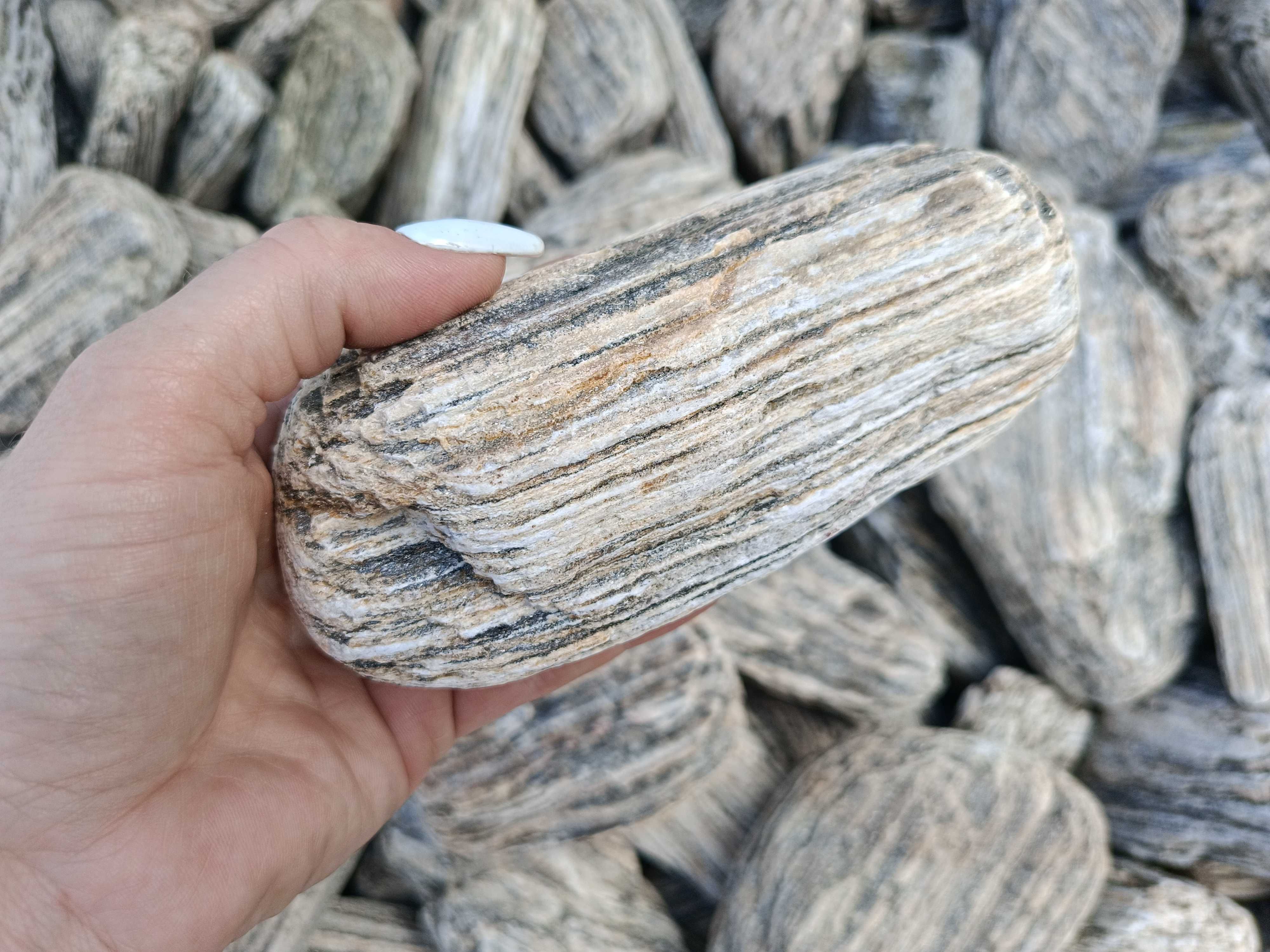 Kora kamienna OTOCZAK Gnejsowy Kamień gabionowy extra 20-50 / 50-100mm