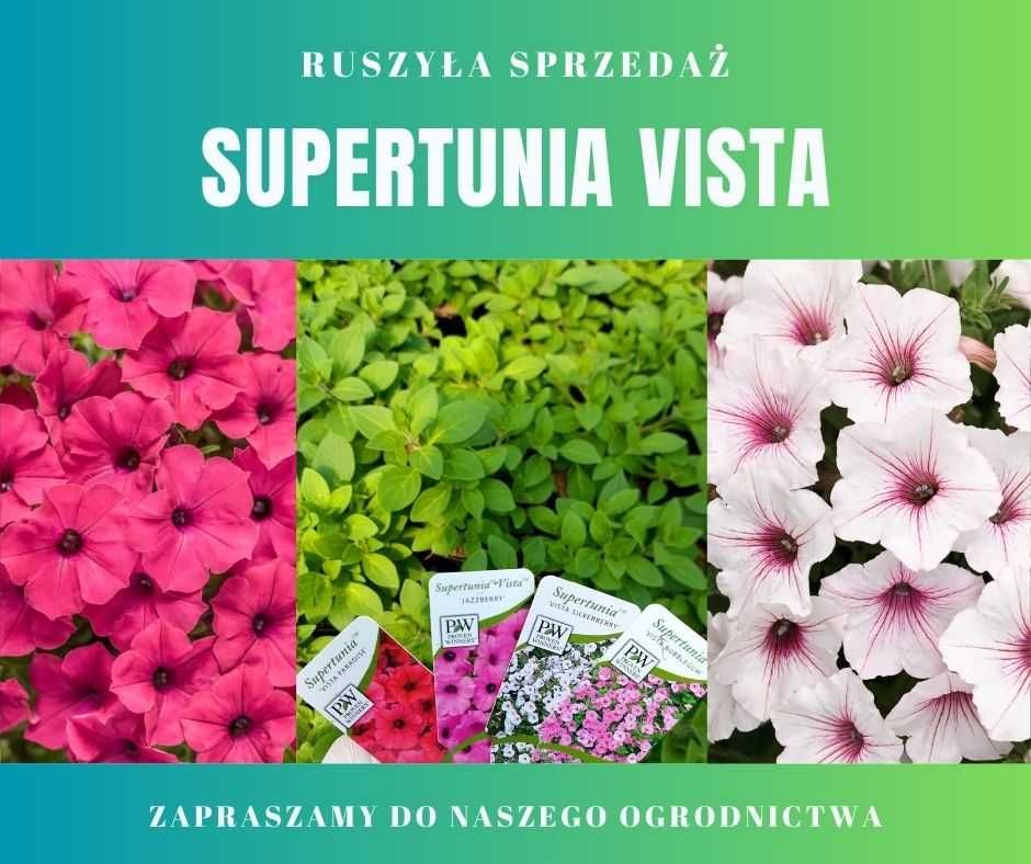 Supertunia Vista Petunia