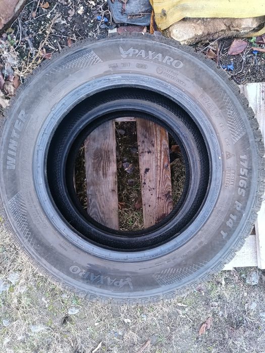 175 65 r14 зимова гума 2 шт Winer Paxaro