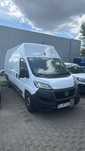 Fiat Ducato L4H3 • kilka sztuk • wymiana floty • uszkodzone  kilka sztuk • wymiana floty • uszkodzone silniki
