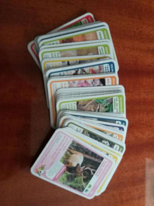 Cartas Super Animais Pingo Doce