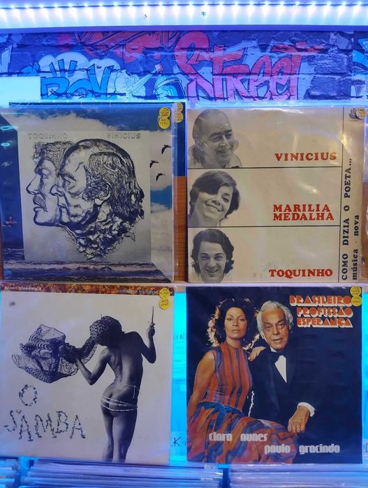 Vinil - Musica Brasileira Rita Lee,C.Buarque,Caetano,Toquinho,Vinicius