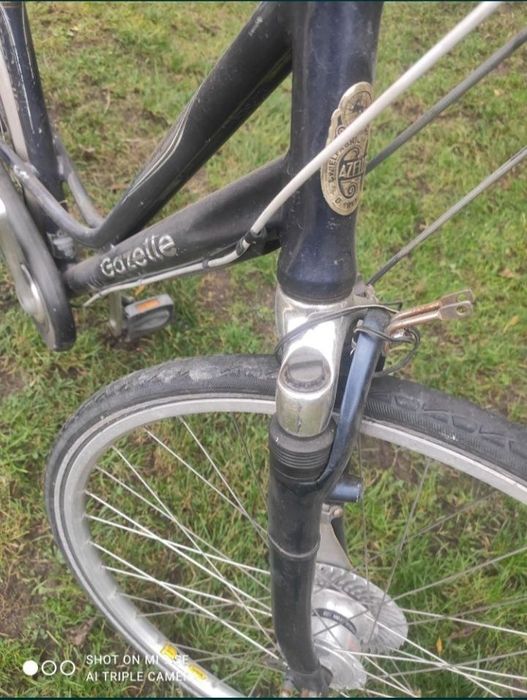 Rower treningowy Gazelle