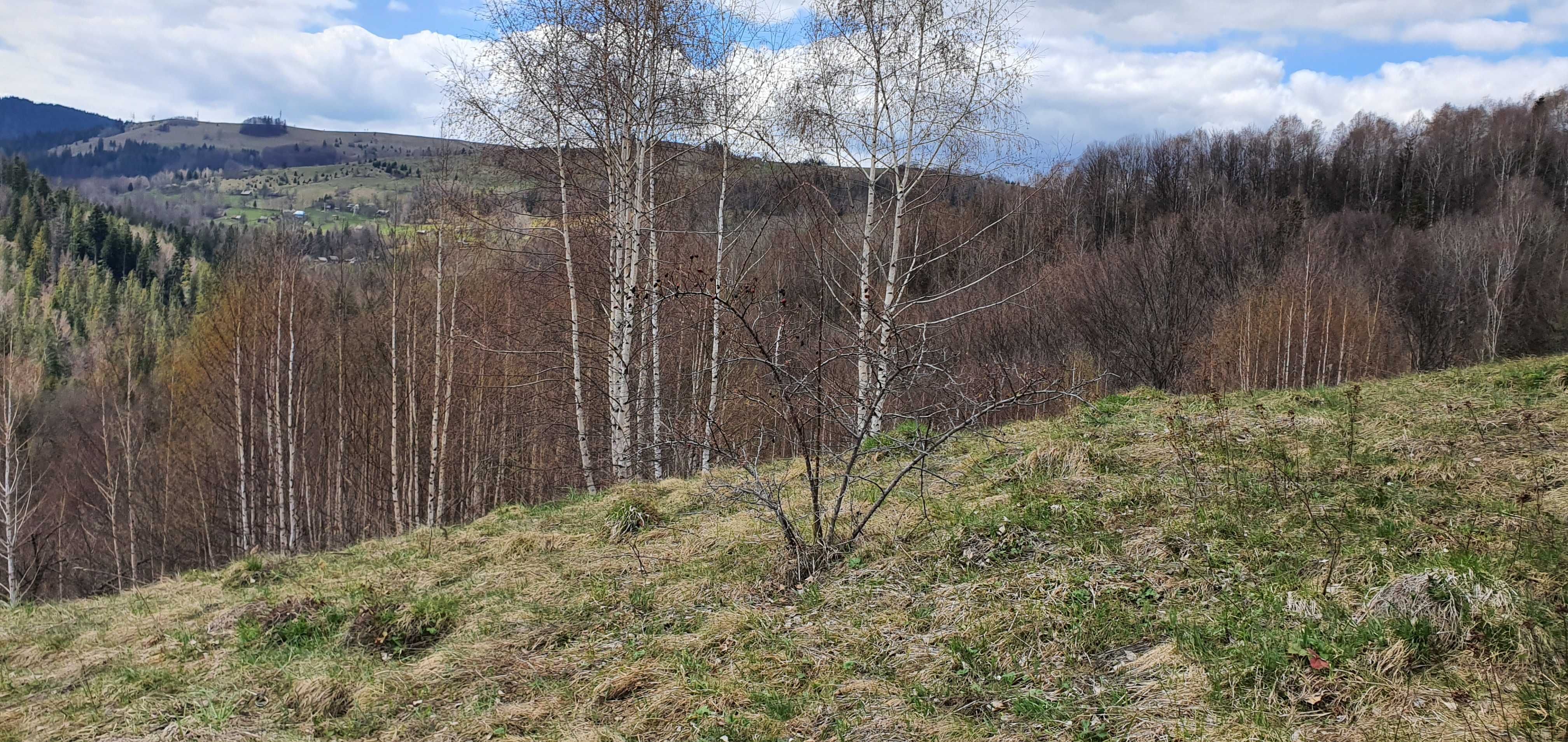 Продам земельну ділянку з будинком