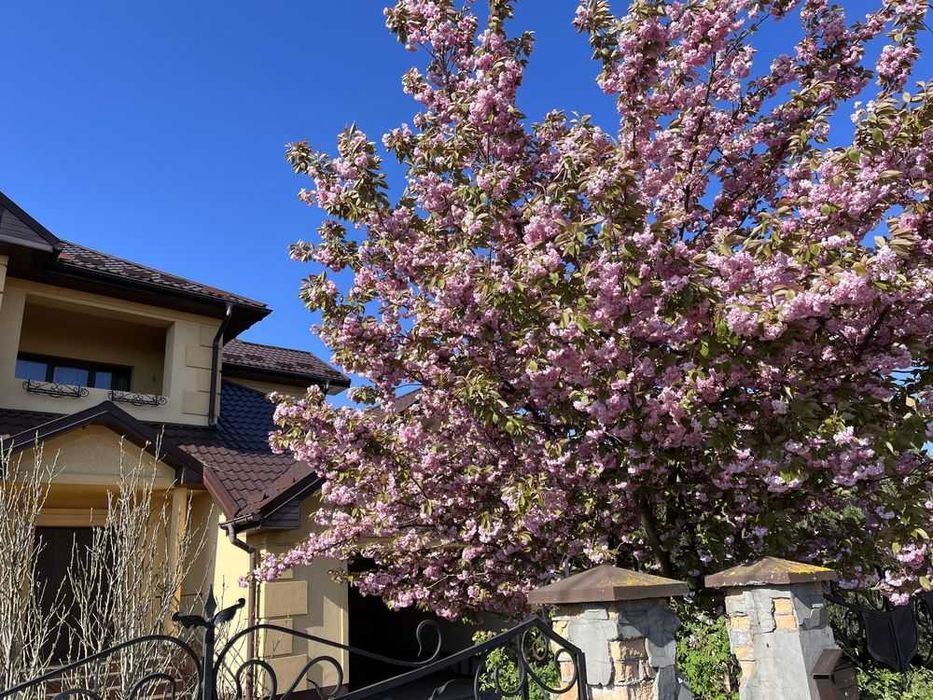 Здам окремий будинок з гаражем