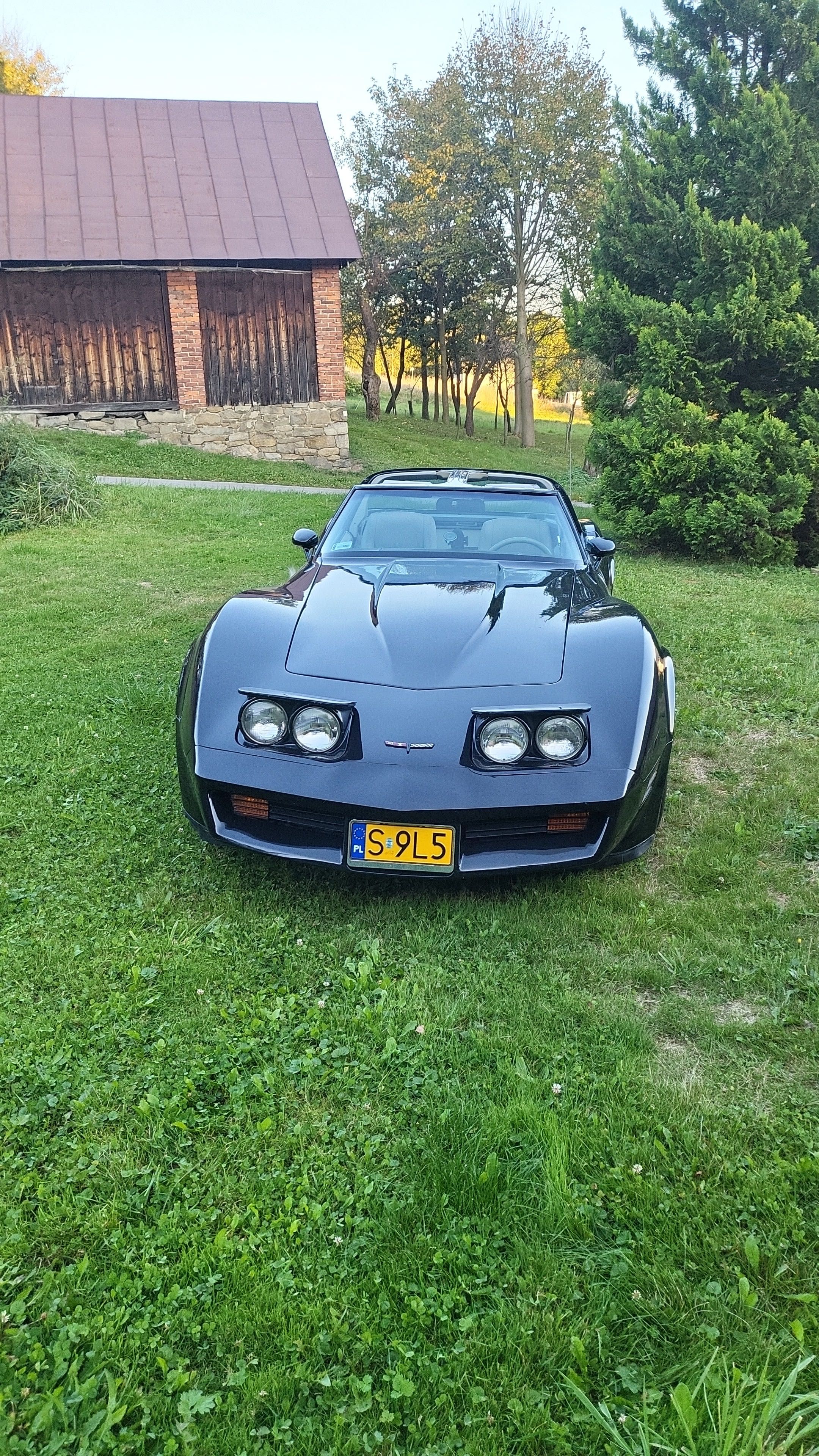 Chevrolet Corvette C3