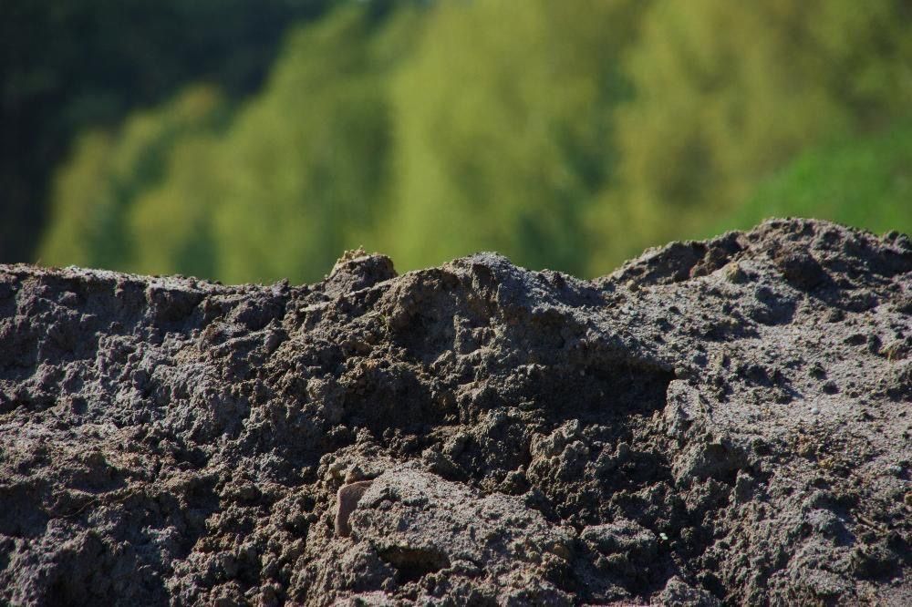 Czarna ziemia, podniesienie terenu, pod trawniki, ogrodowa
