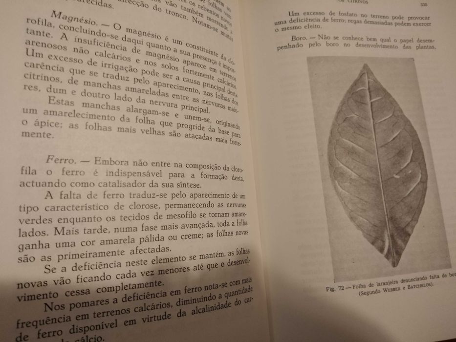 J. Duarte Amaral - Os Citrinos [autografado]