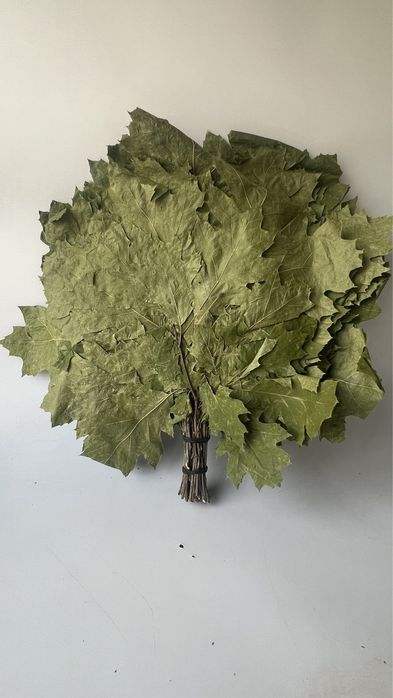 Witki dębowe do kąpieli i sauny