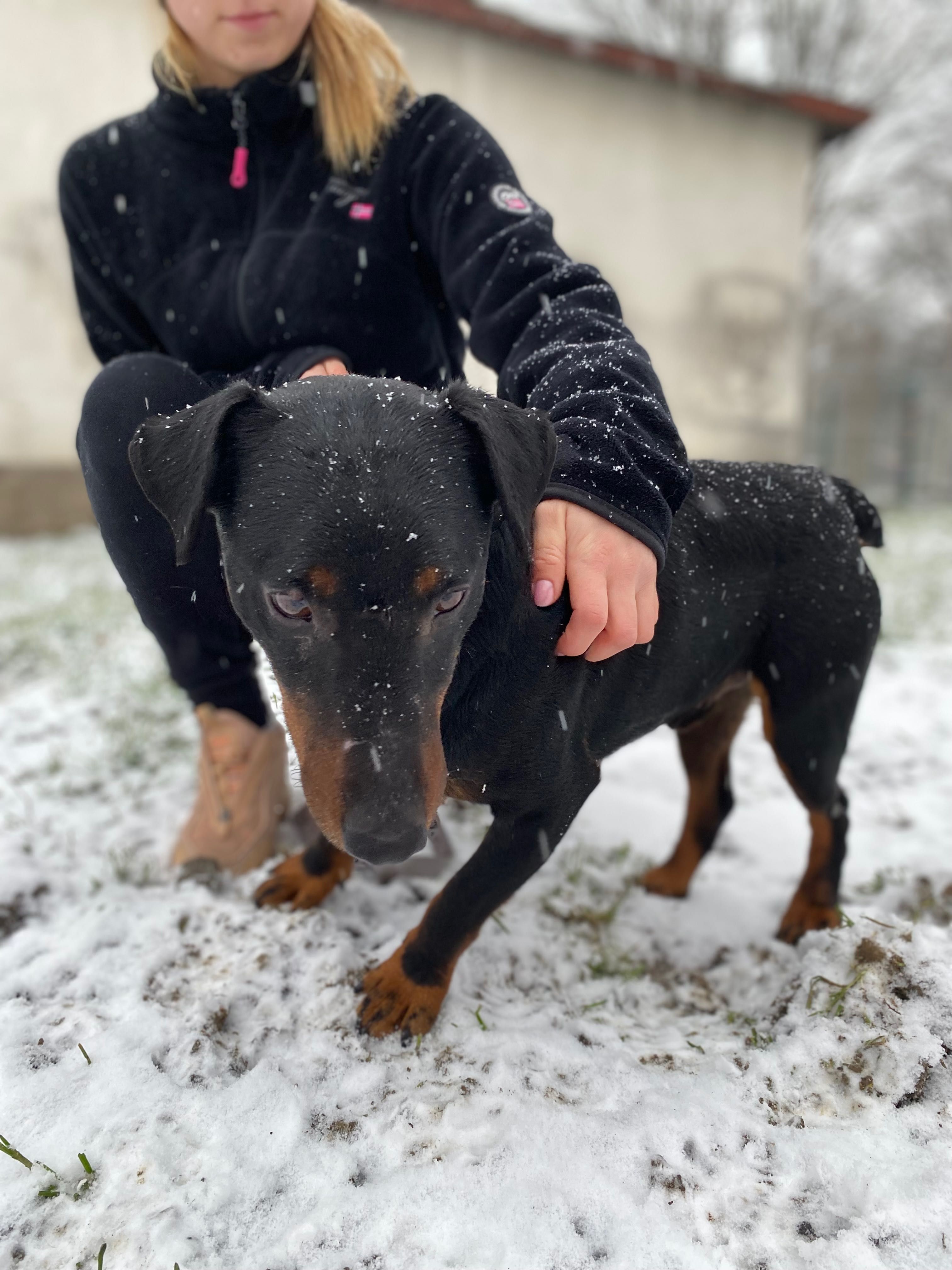 Tropik szuka domu!