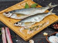 Чехонь вяленая или рыба-сабля 100-200гр/шт, вакуум +-1кг