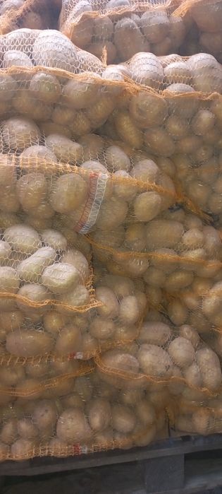 Sprzedam ziemniaki jadalne