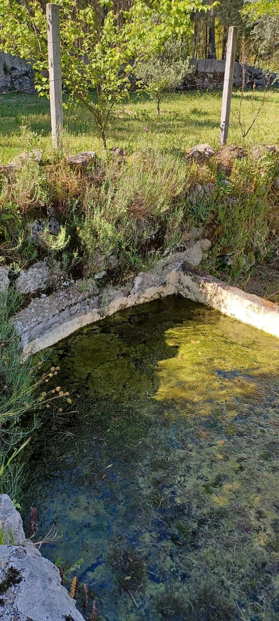 Quinta + Mata com vista para a Serra da Estrela
