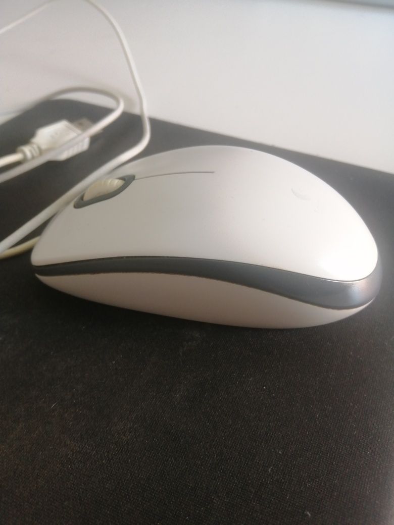 Rato Logitech e tapete