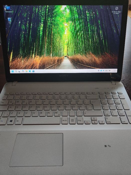 Sony Vaio Intel Pentium