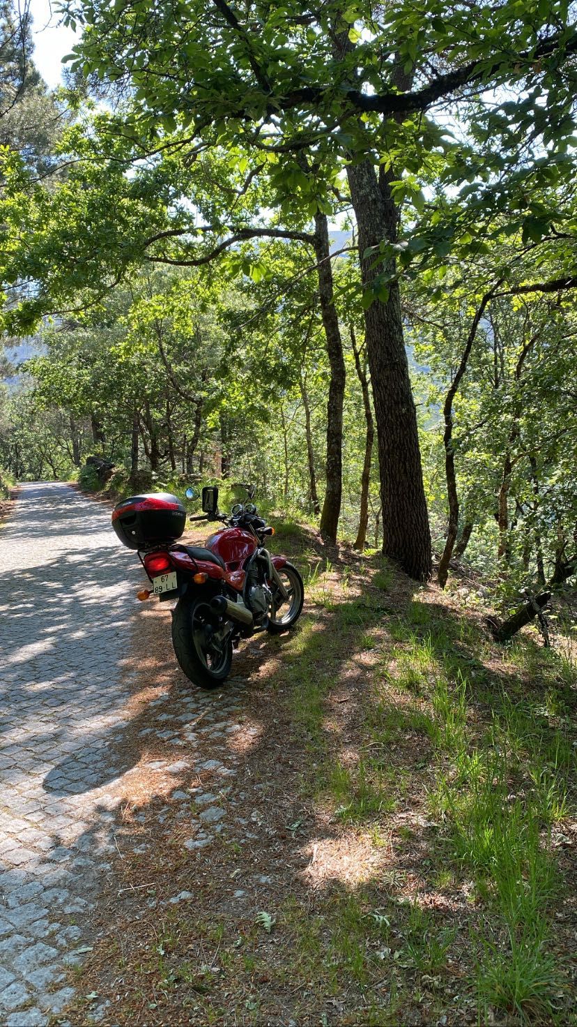 Kawasaki ER5 500cc